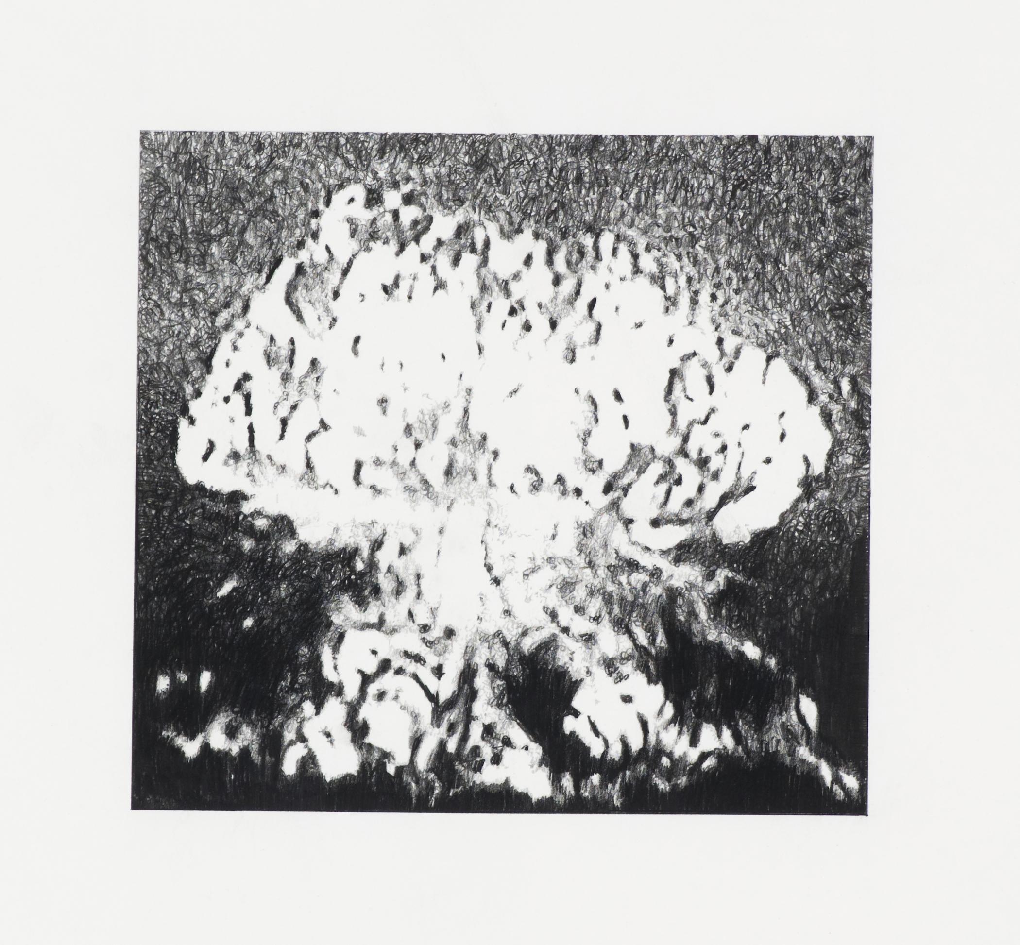 A blurry black-and-white sketch shows what might be a mushroom cloud, mid-explosion.