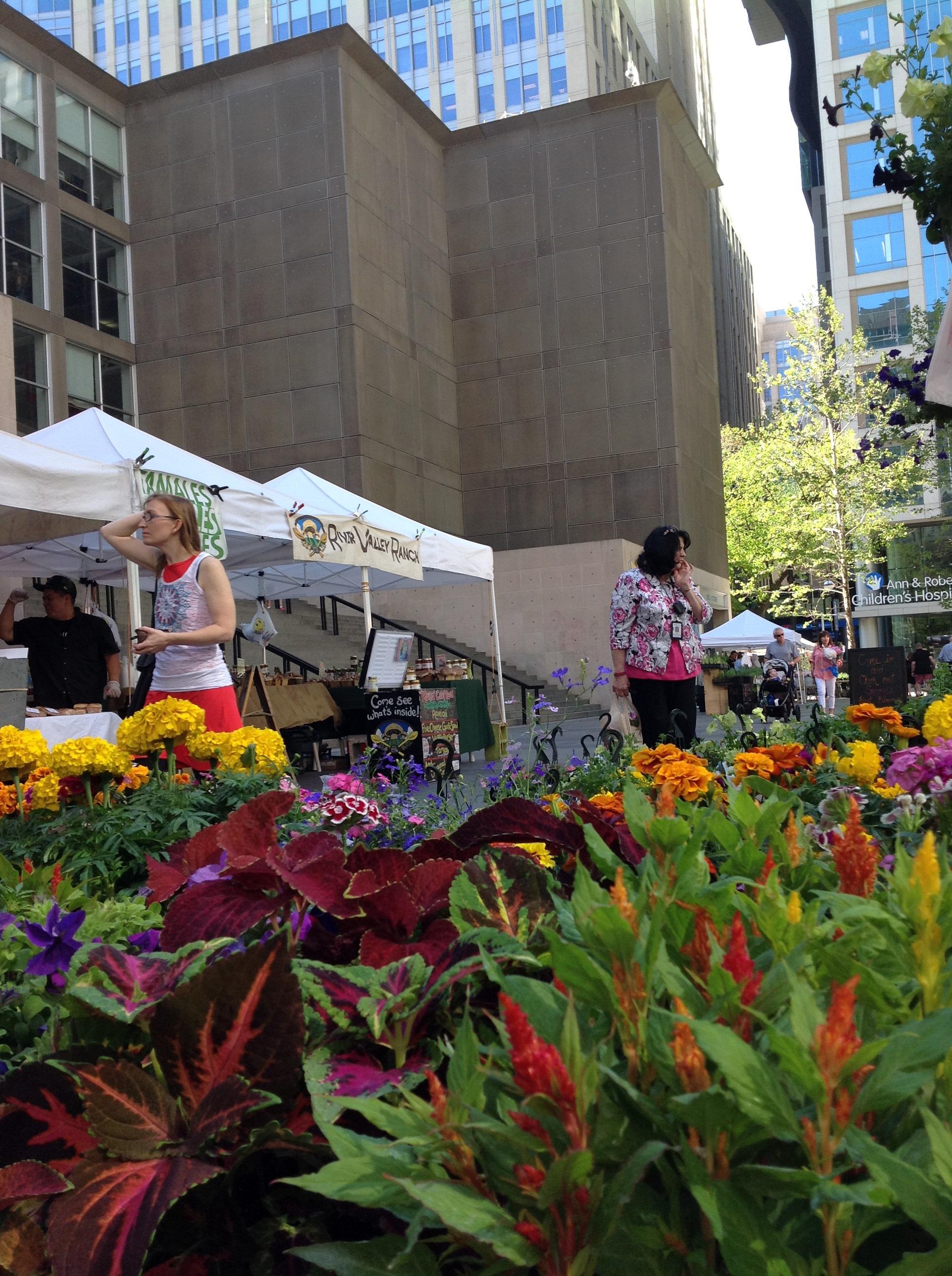 Farmers' market tents and shoppers on the MCA Plaza with flowers in the foreground