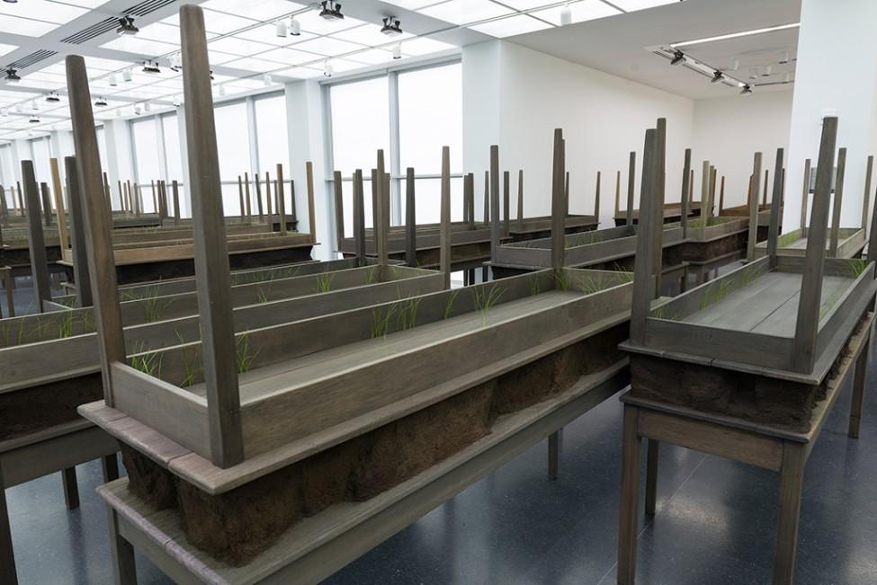 Several dozen rectangular wooden tables with secondary identical tables stacked upside-down on top have thin blades of green grass poking out.