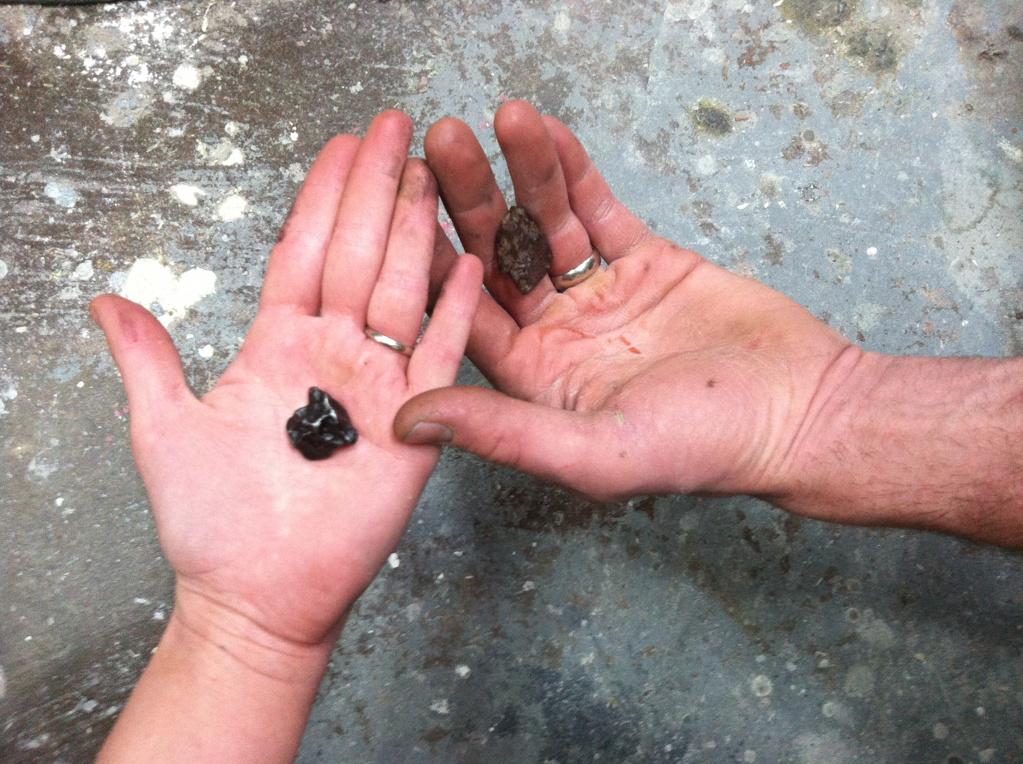 Two left hands gently interlock, little finger to thumb, their palms facing up. The smaller hand has a black misshapen stone in the center of the palm, while the other has a course stone laying in between the ring and middle finger. Both hands have silver bands on the ring finger.