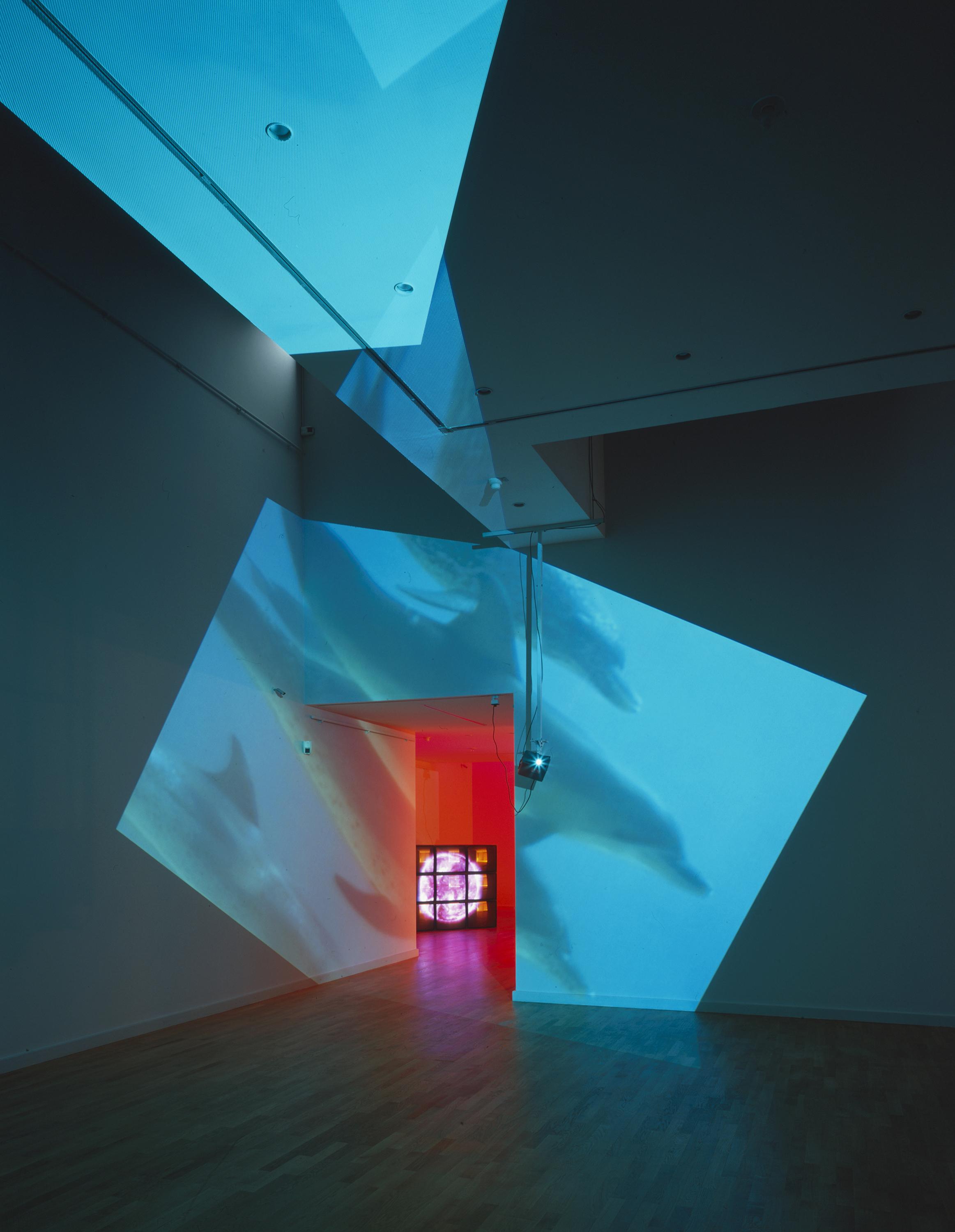 Video of a pod of dolphins in cool blue tones is projected across the walls and doorway of a gallery; a luminous red and pink sculptural installation is visible through the doorway.