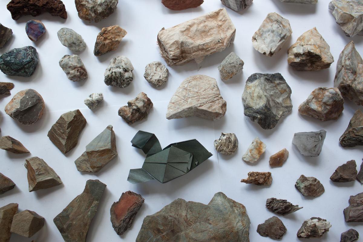 Dozens of rocks and minerals are arranged with small gaps in between.