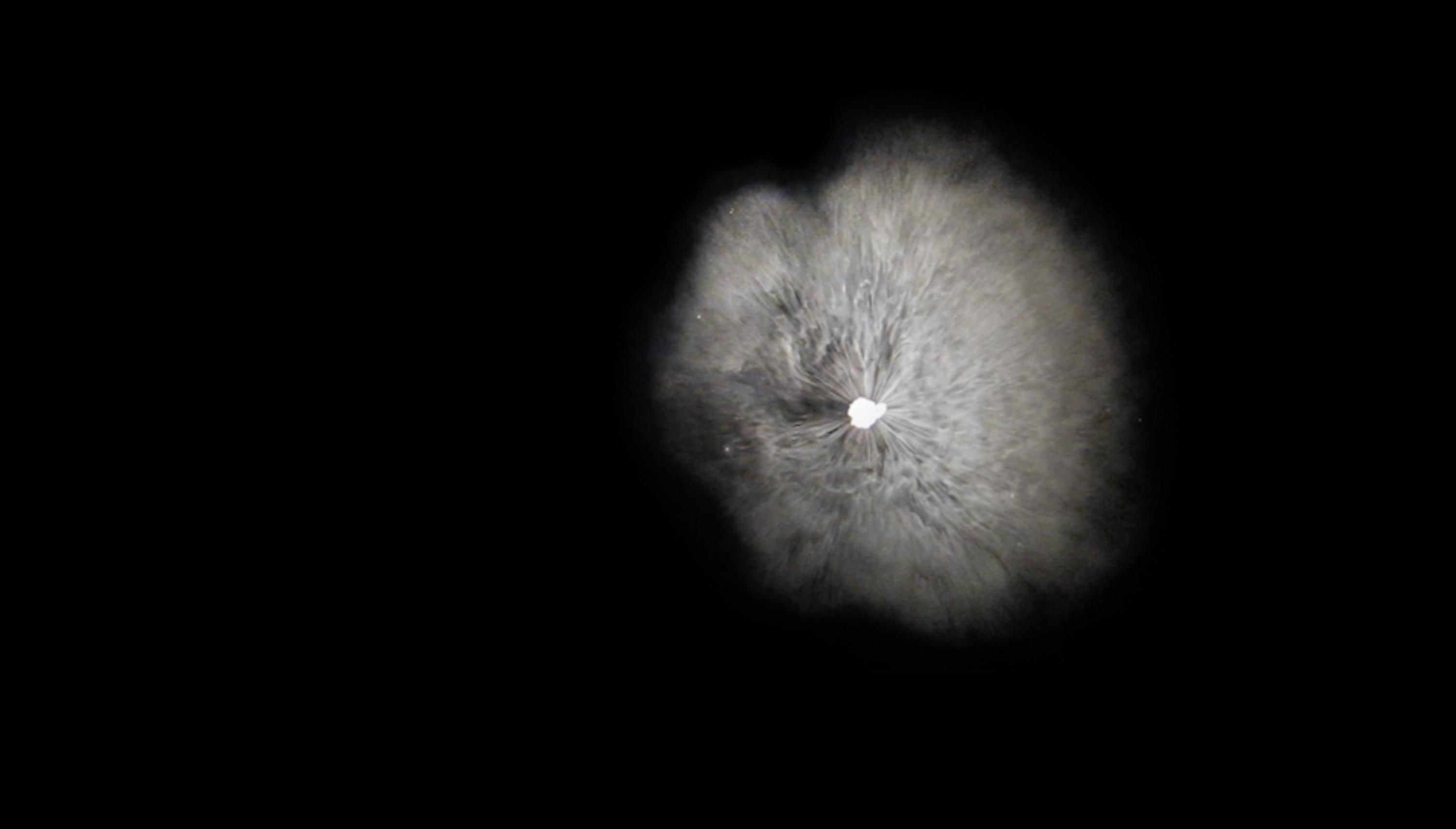 Just right of center, an organic round shape in a hazy light gray seems to emerge from a jet black background. It hovers around or behind a bright white spot at its center.