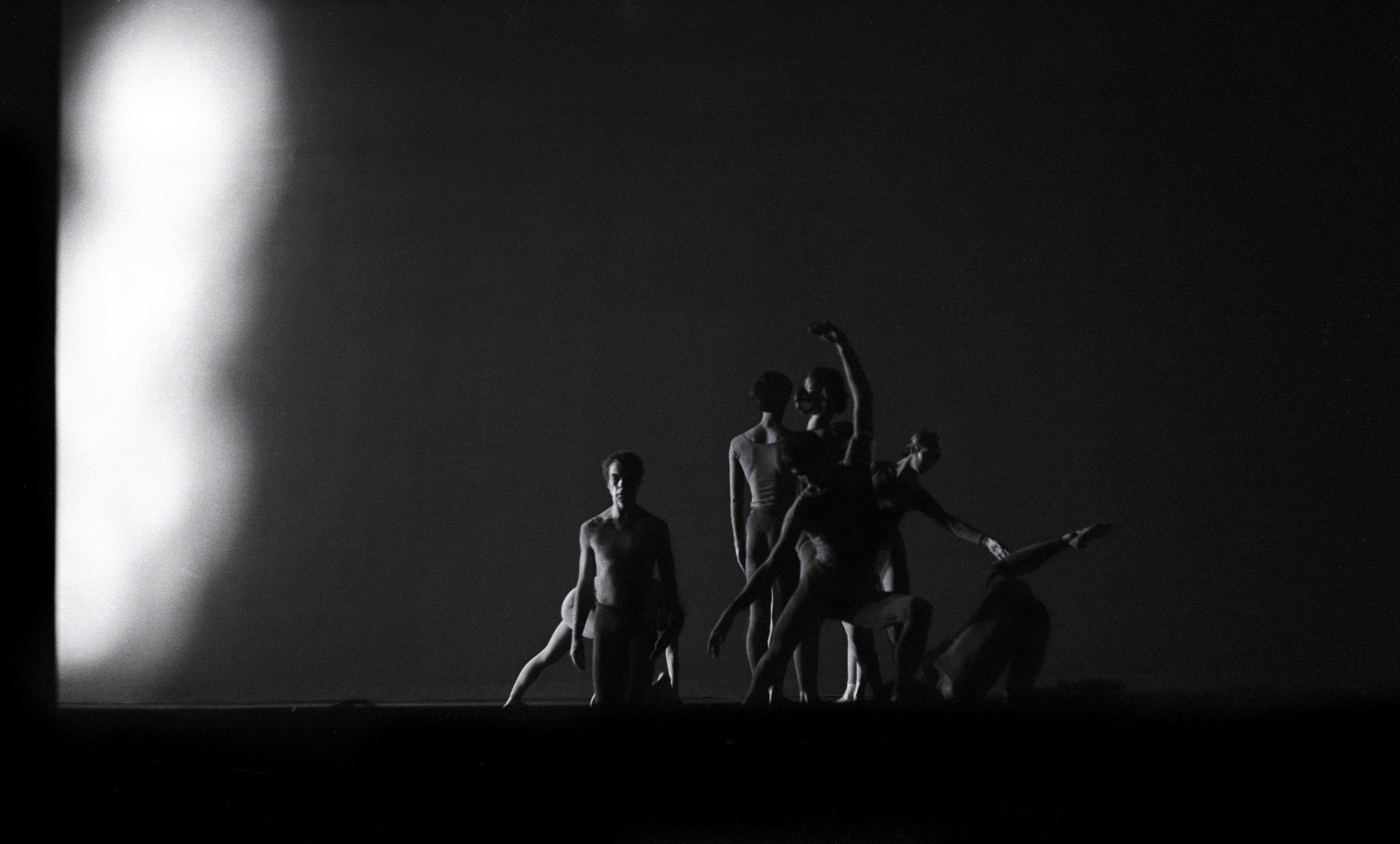 Seven dancers pose in a triangular form against an empty backdrop, illuminated by a strong bright coming from the left.