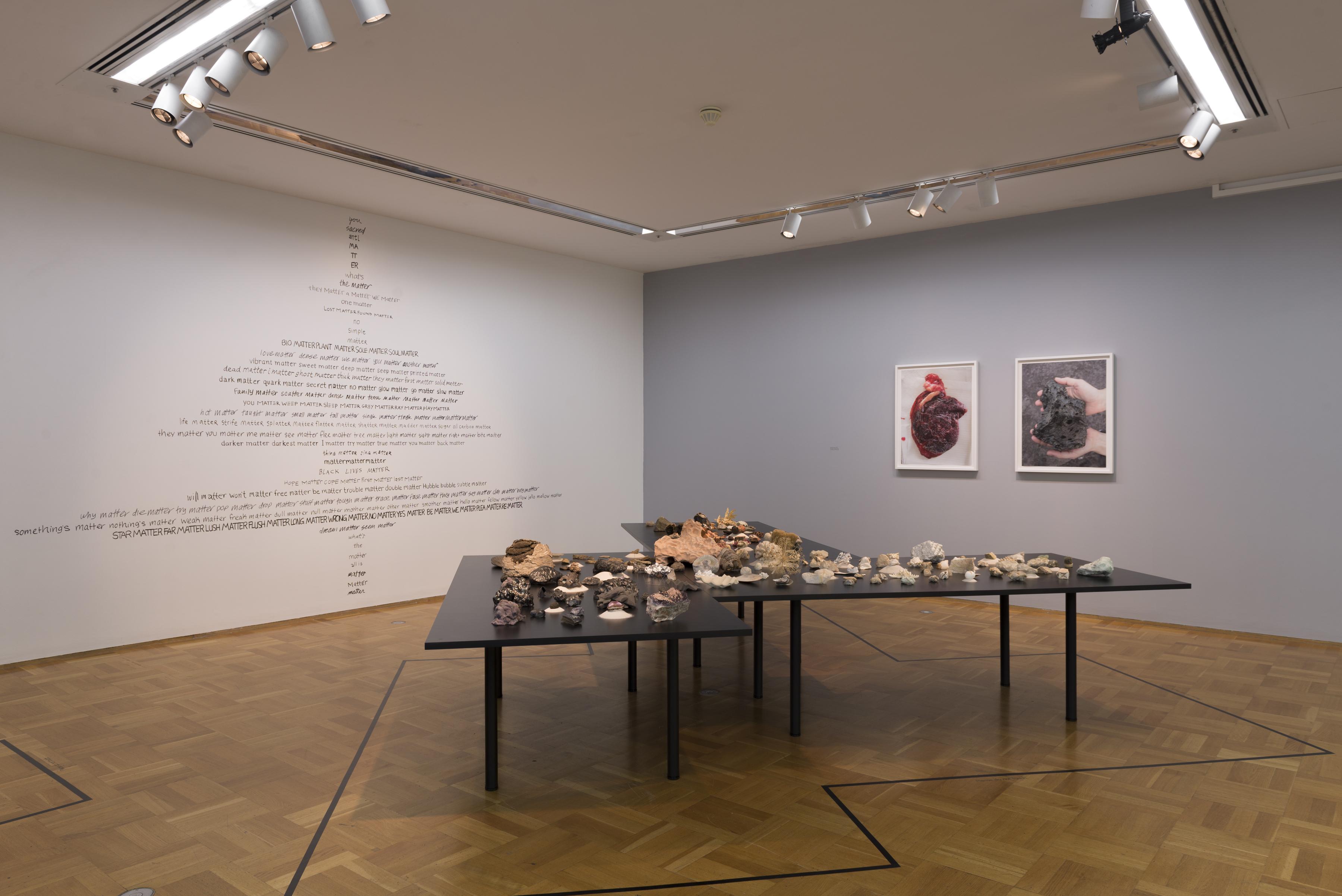 A gallery space contains an irregular-shaped table with various rock-like objects displayed on it. On an adjacent wall are hung a photograph of a human placenta and a photograph of a lava rock. On the other wall is a center-aligned text piece.