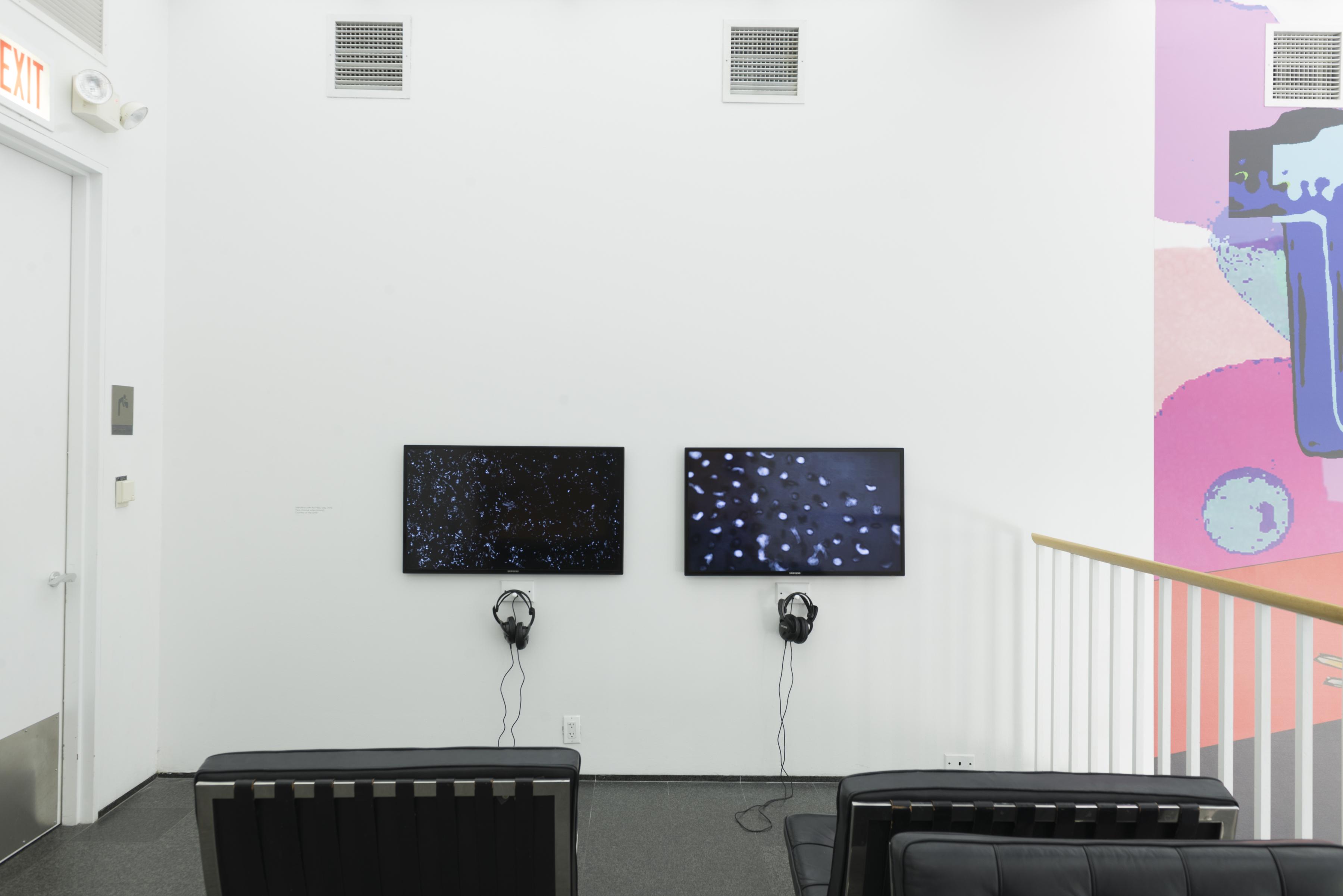 Two wall-mounted flat screens in a white gallery space with headphones attached, show white objects on a black background. A black leather chair is situated in front of each television.