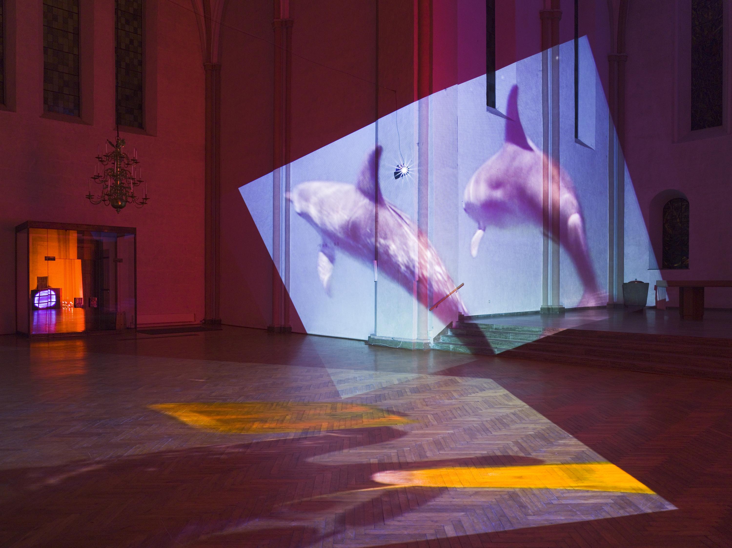Two swimming dolphins are featured in a large, slanted video projected on the walls of a high-ceilinged room. The purplish dolphins appear in a blue rectangle, and stand out against the magenta-colored walls and floor.