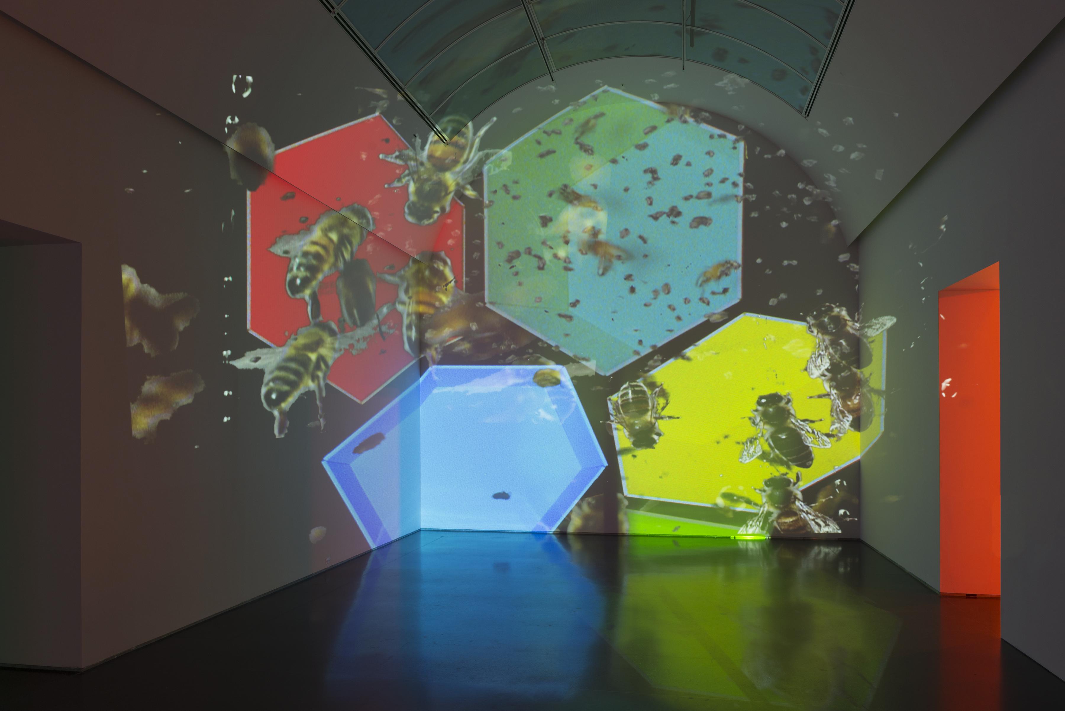 Five brightly colored hexagons swarming with bees are being projected against the end of a barrel-vaulted gallery. The door on the right glows orange.