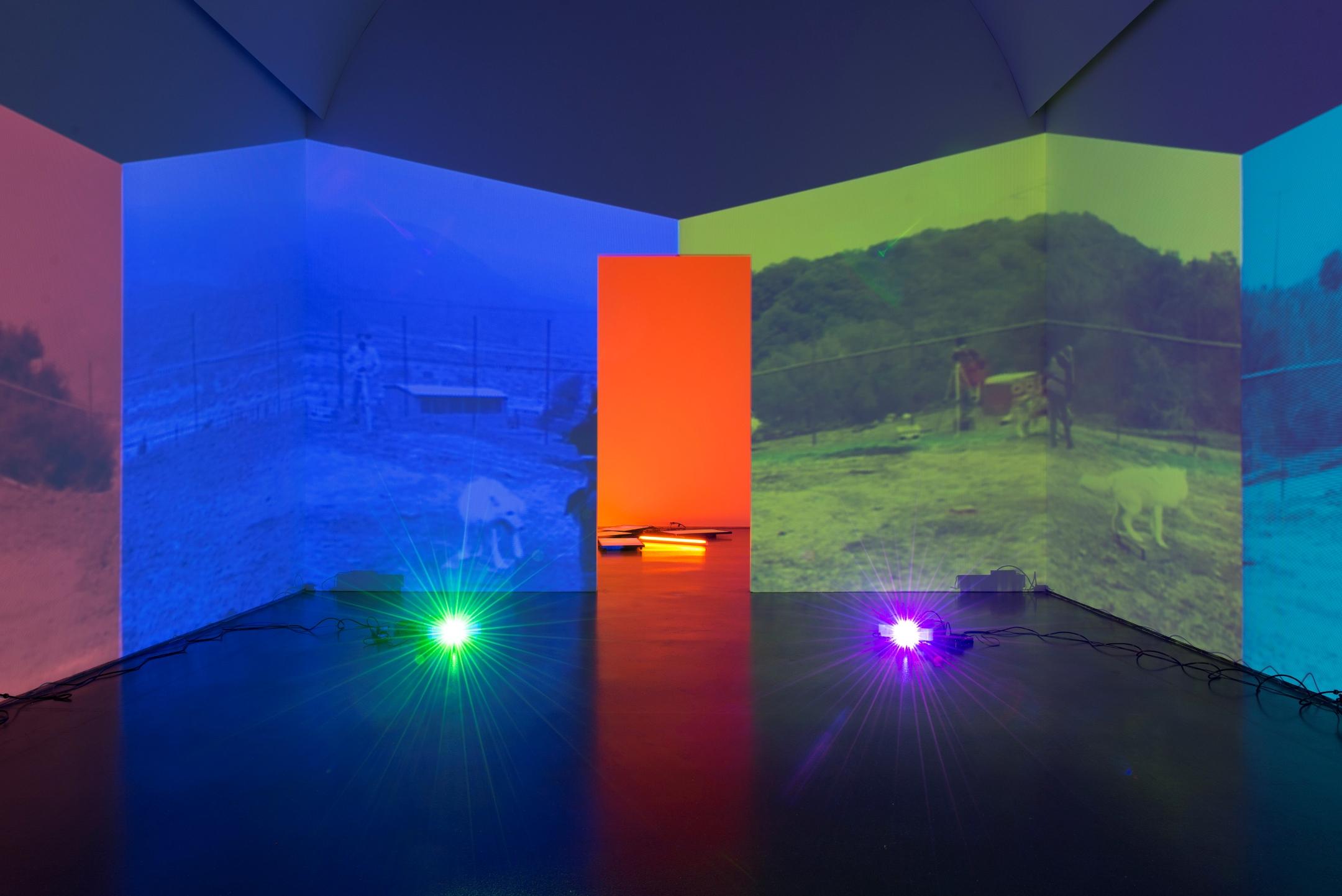 You are in a room with four projections of similar images of two wolves in muted, jewel tones. Two projectors on the floor project at you. In the middle of the room is a door leading to another brightly lit gallery.