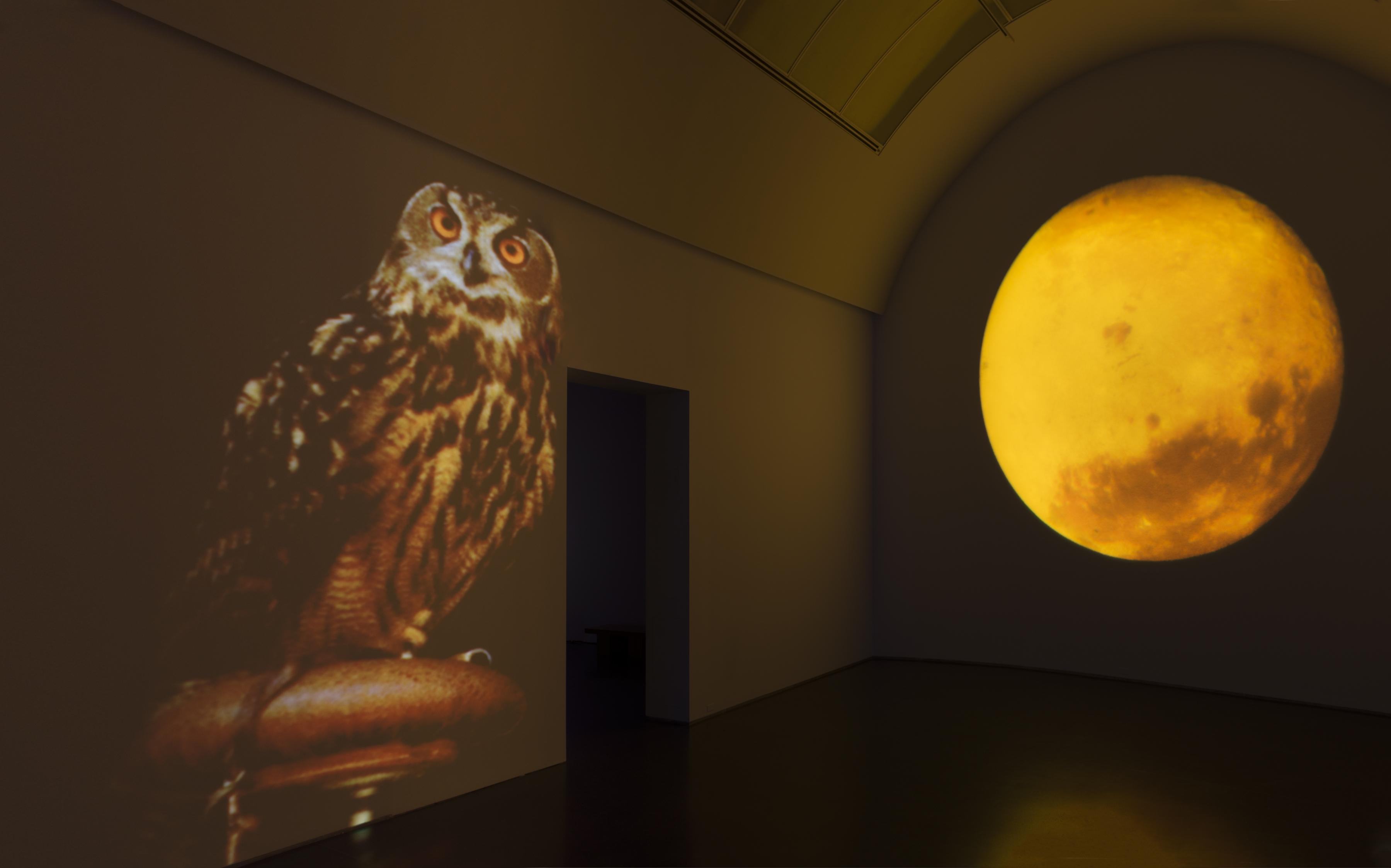 A large owl with glowing orange eyes appears on the wall of a dark gallery, next to a bright yellow-orange full moon.