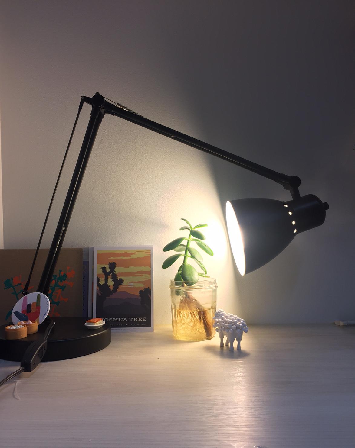 A lit desk lamp is trained on a small jade plant growing in a glass jar half-filled with water. The plant bends slightly toward the light. Small knickknacks and paper goods are lined up beside the plant on the desk.