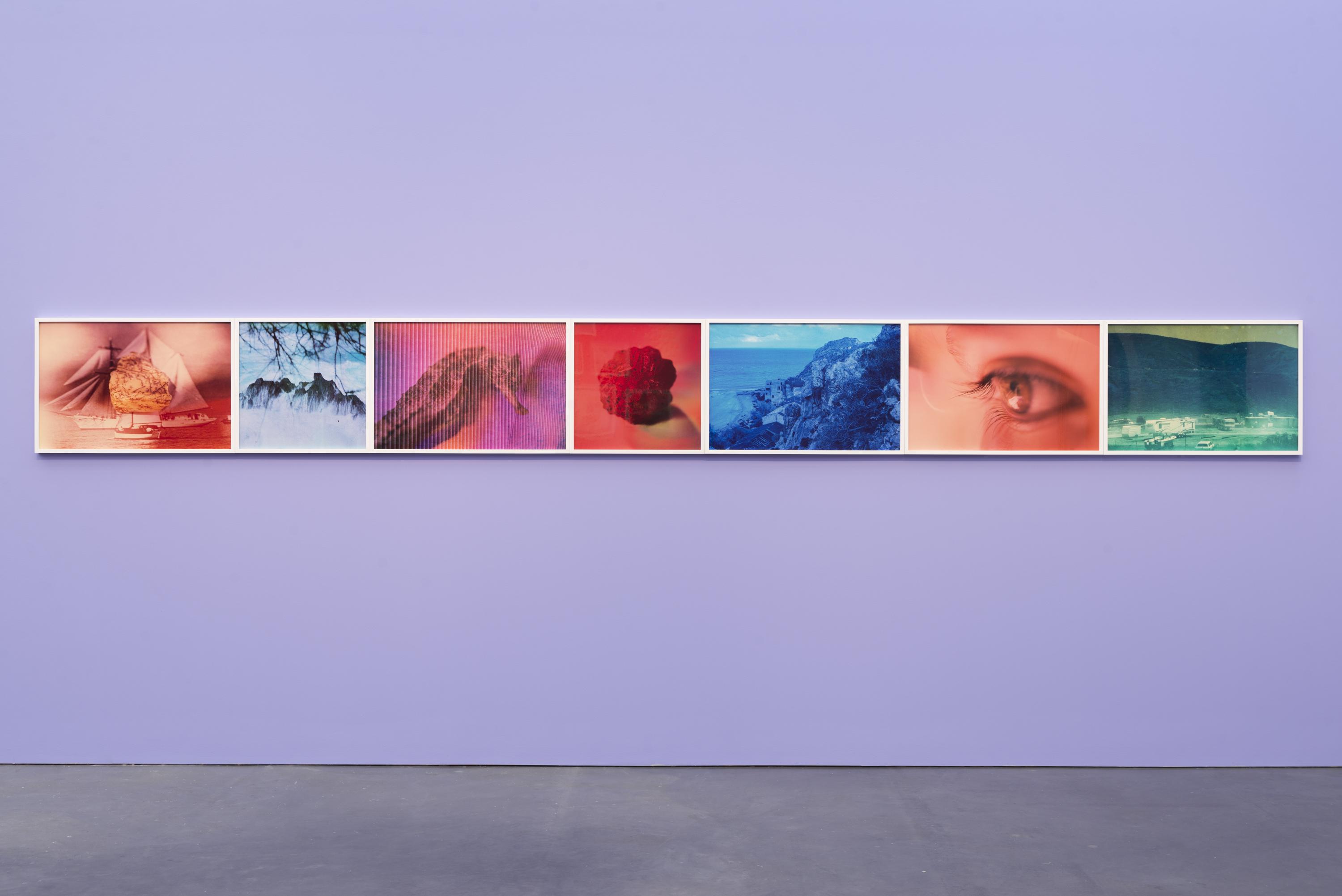 Seven colorful images are displayed adjacent in a row against a purple wall. Each image depicts a different subject.