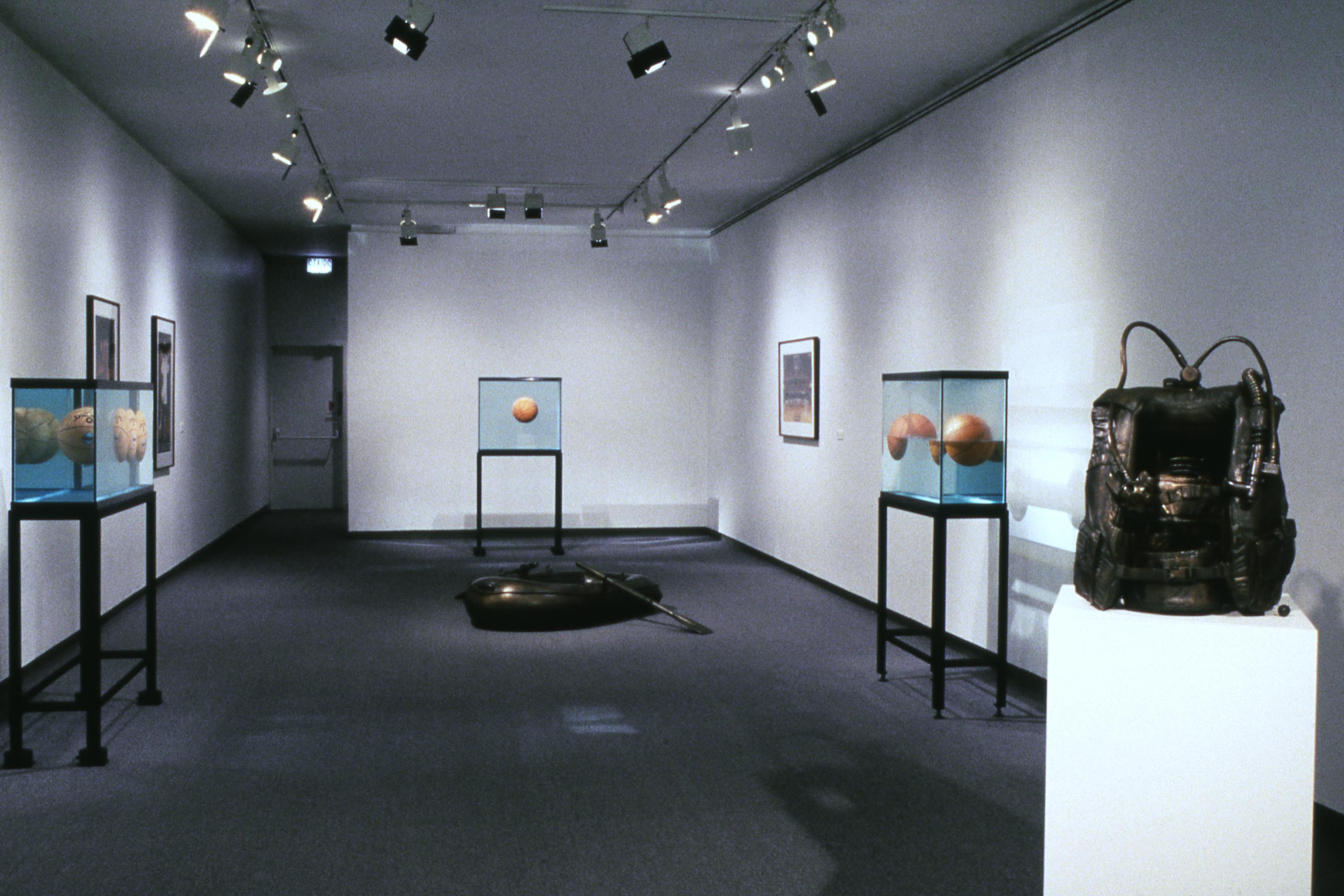 MCA - Jeff Koons  Museum of Contemporary Art Chicago