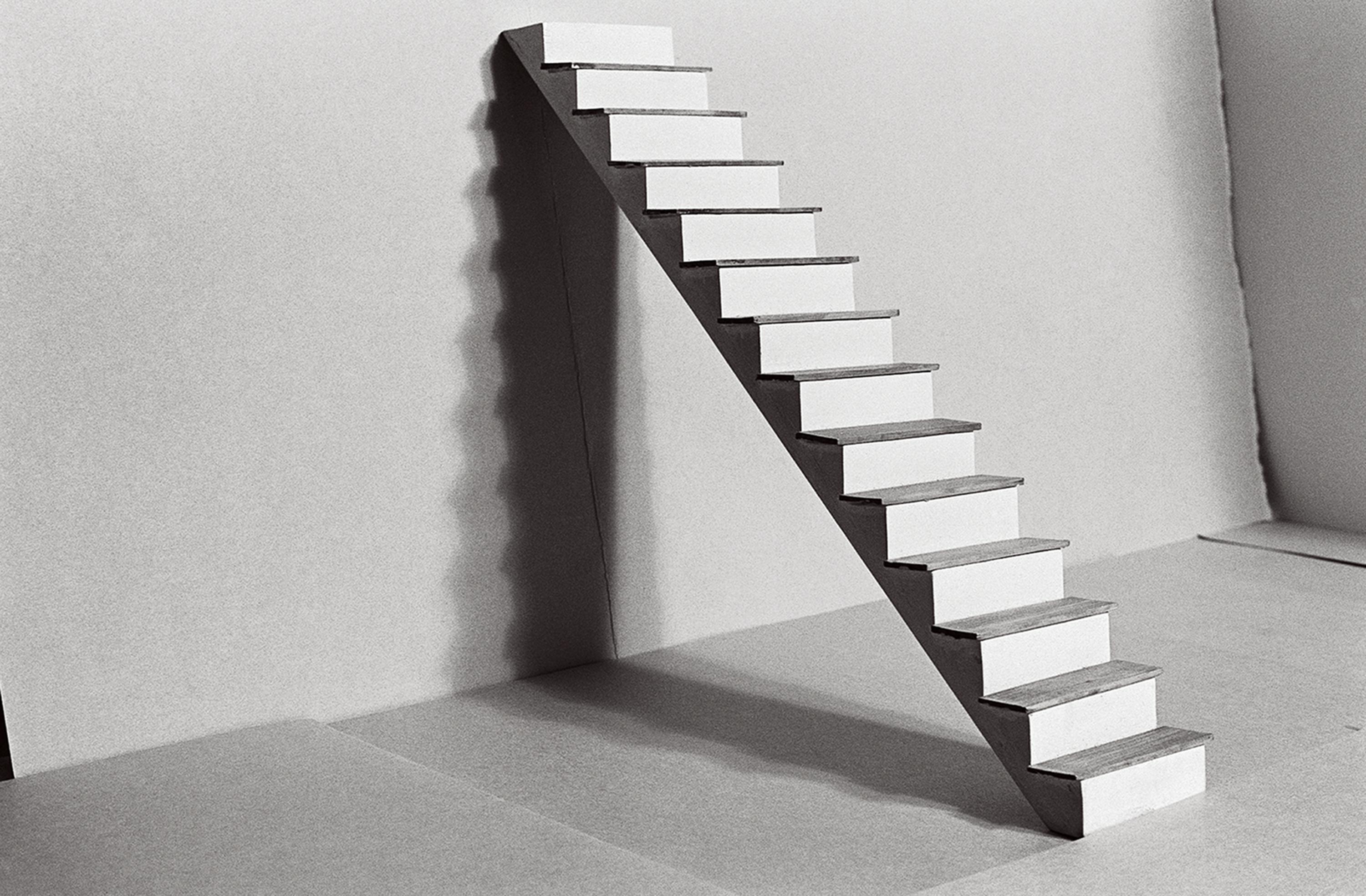 This black-and-white photo depicts a set of fourteen stairs that lead to a bare wall. The stairs create a stark, ninety-degree shadow against the wall and floor.