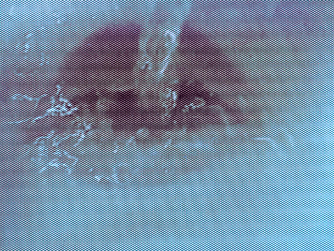 A stream of water pours into an open mouth, splashing out the sides.