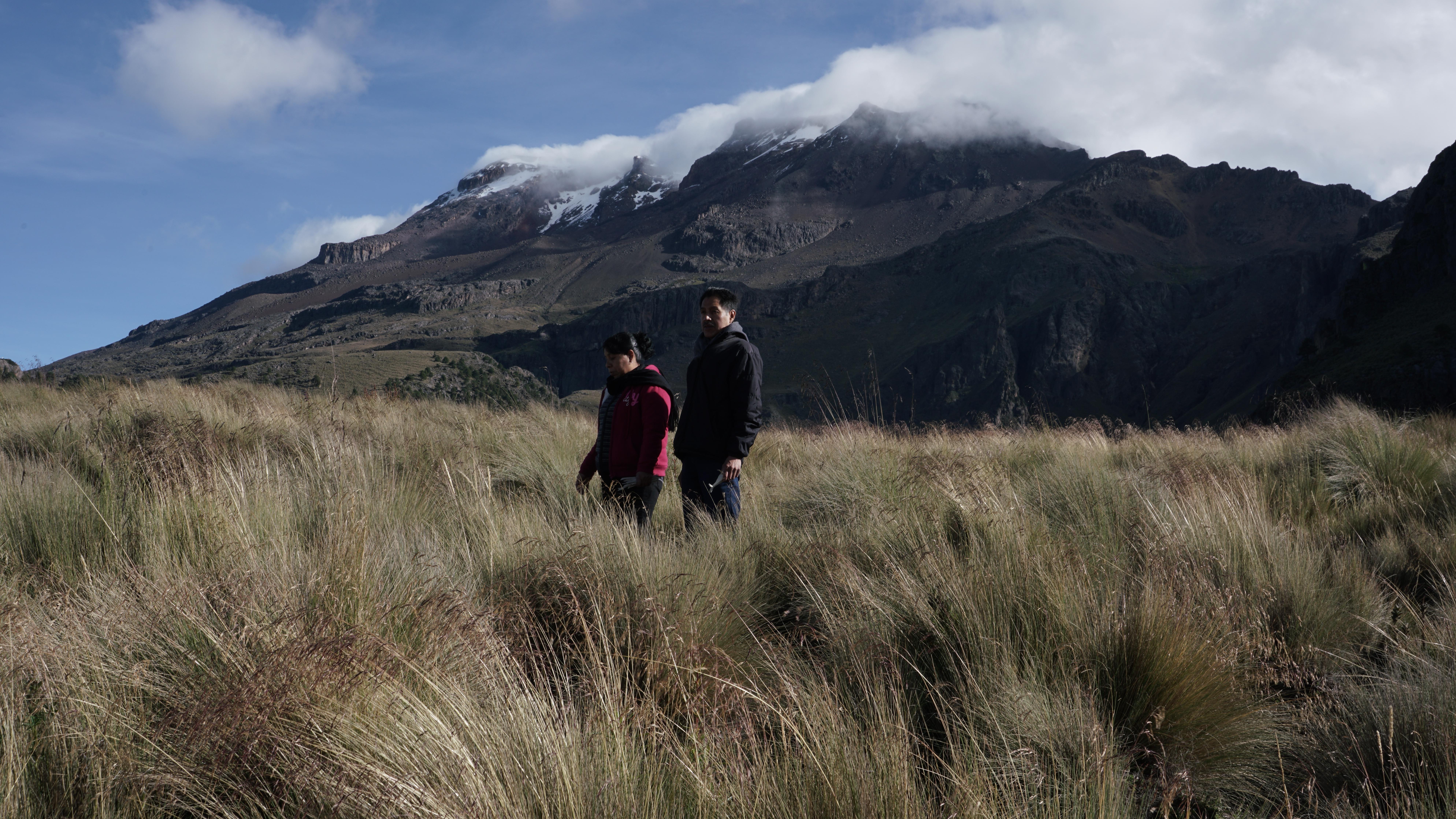 Two people stand in a field of tall grass. A large mountain range extends into the distance behind them.