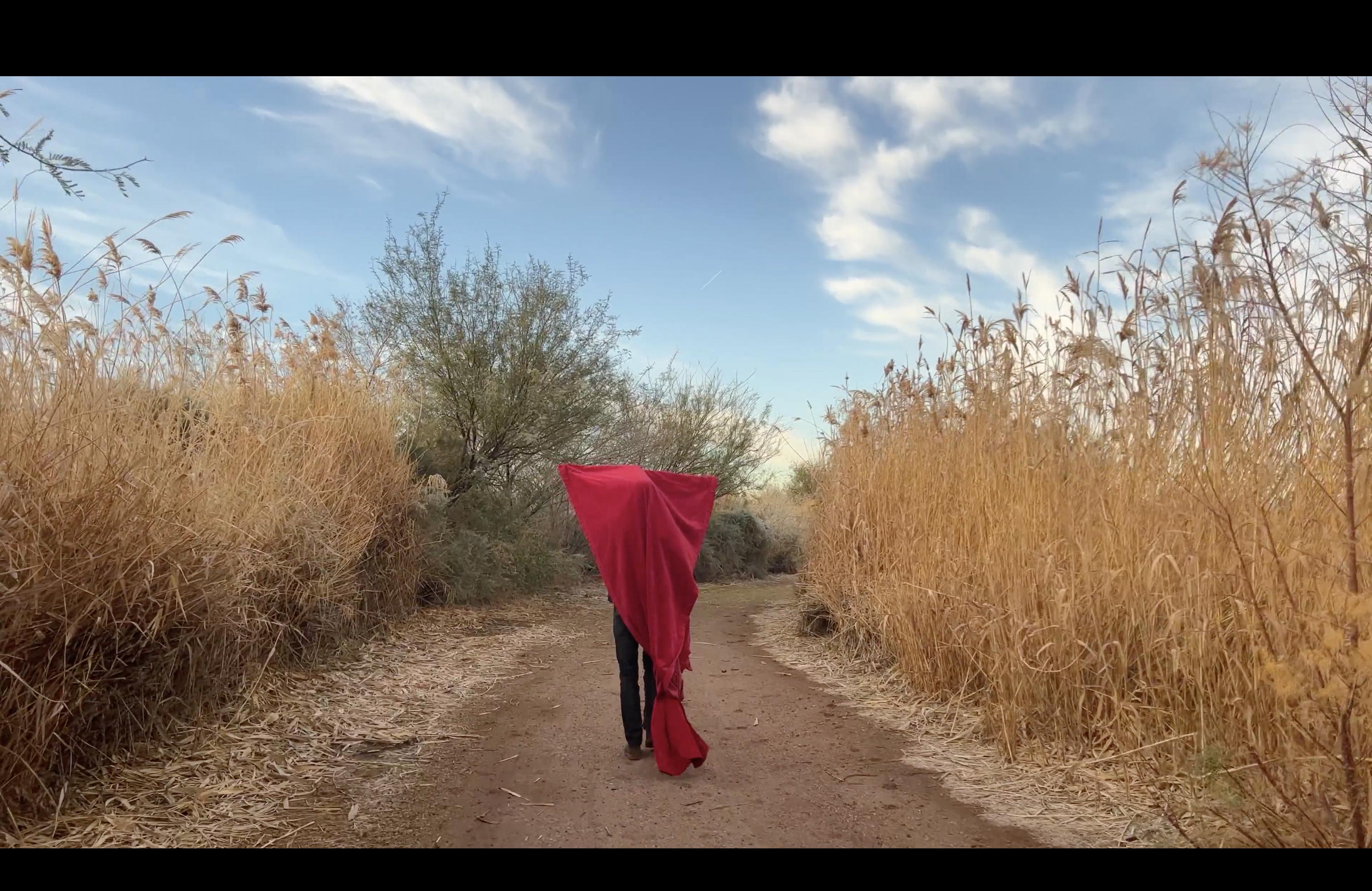 A person stands on a path lined with tall grasses holding a large red shroud over their head
