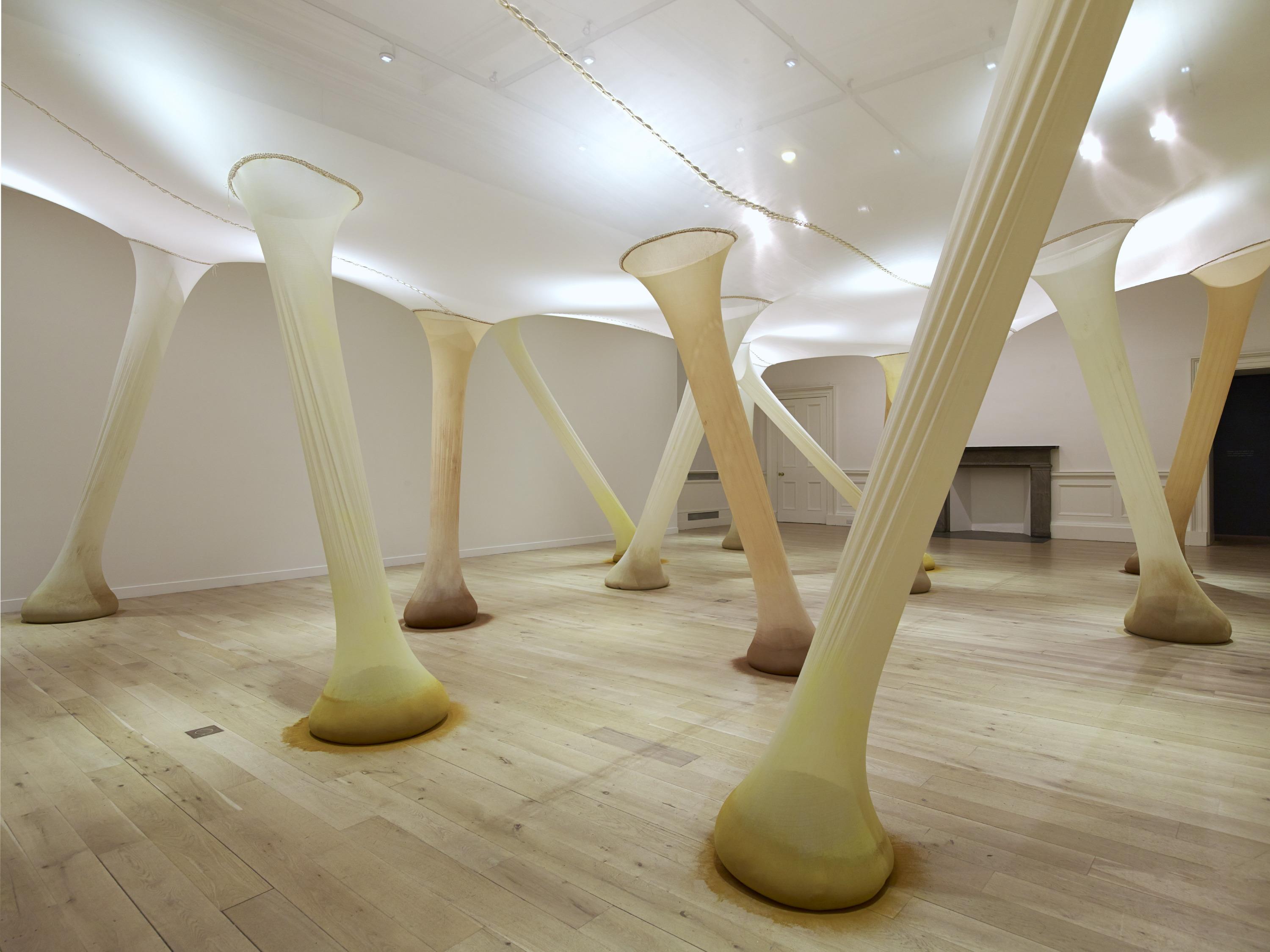 sculptural installation of large tendrils spanning from floor to ceiling fills gallery