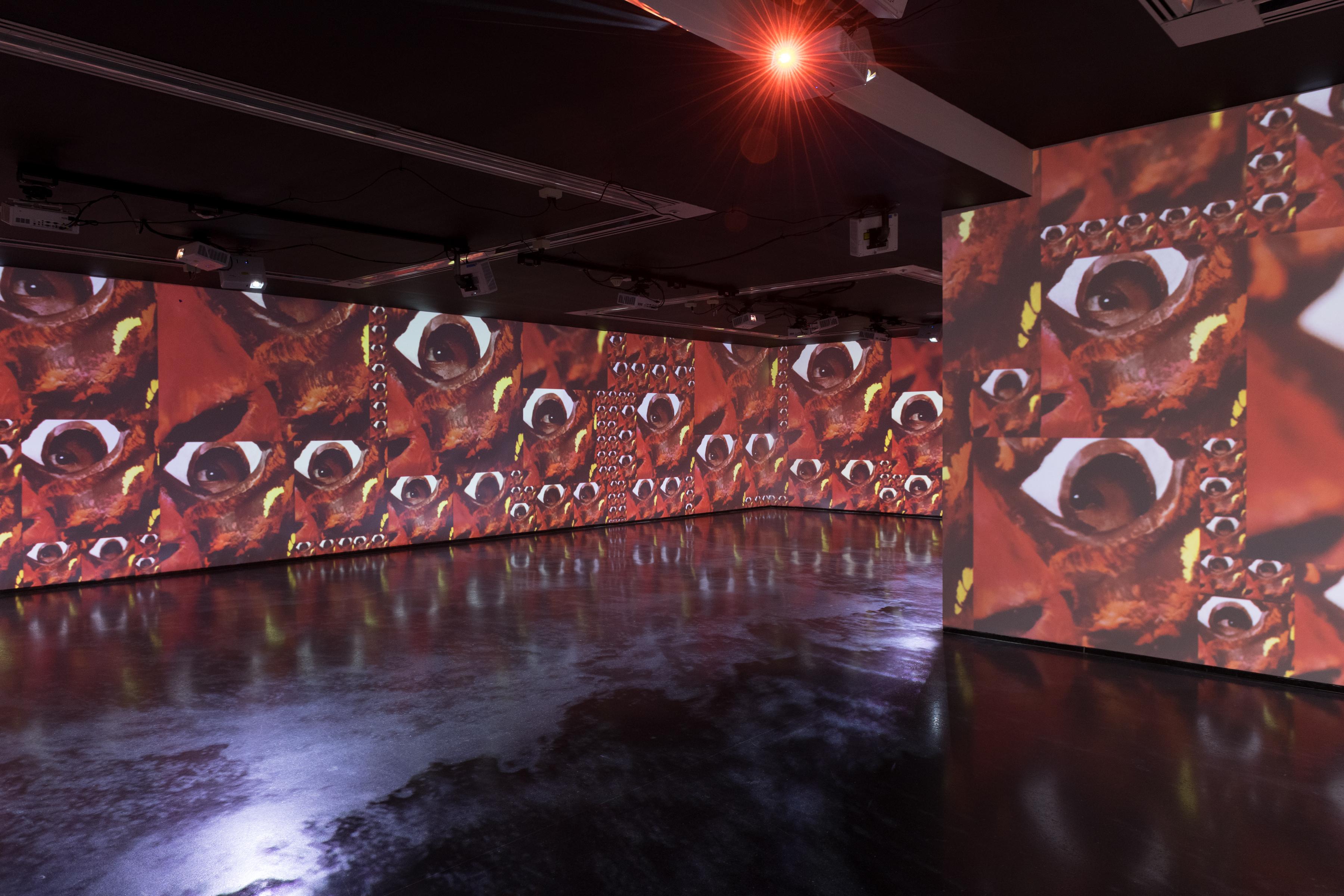 darkened gallery with walls fully lit with projections of artwork