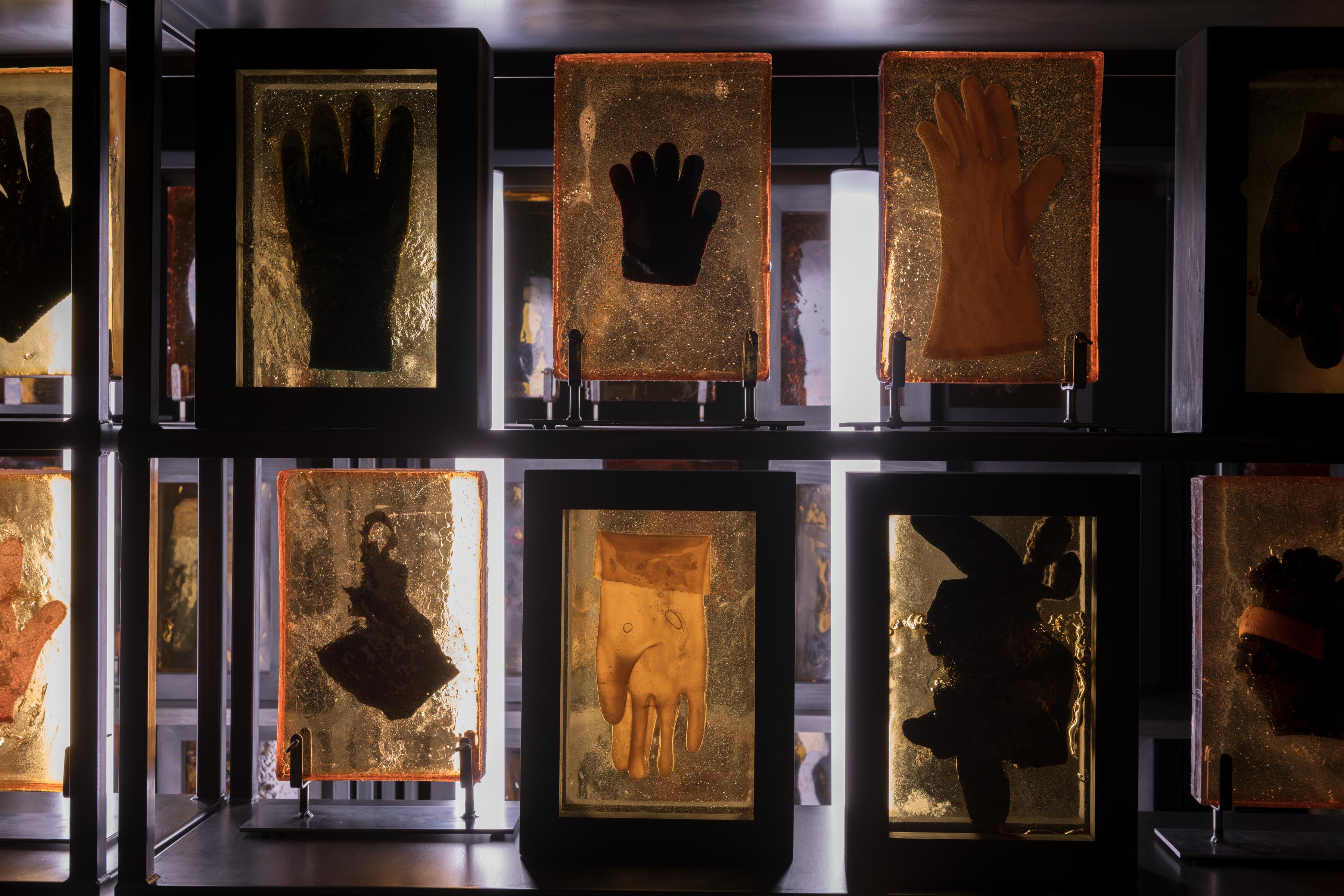 gloves cast in resinous medium displayed on shelves